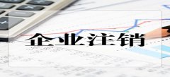 廣州公司注銷(xiāo)登記提交原材料標(biāo)準(zhǔn)是怎樣的？